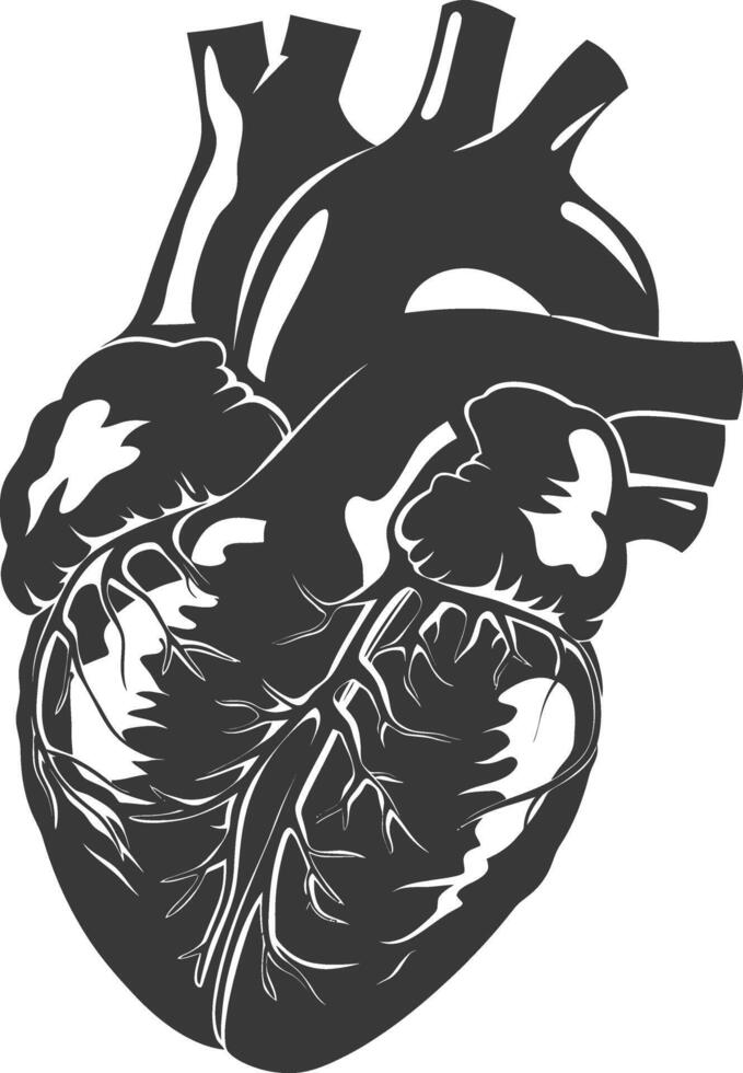 AI generated Silhouette for internal organs of heart black color only vector