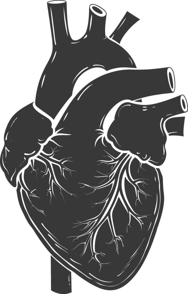 AI generated Silhouette for internal organs of heart black color only vector