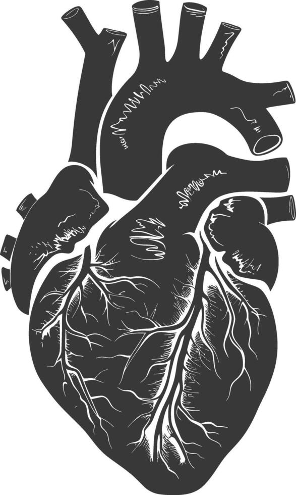 AI generated Silhouette for internal organs of heart black color only vector