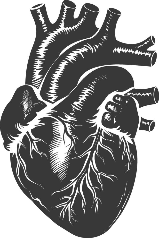 AI generated Silhouette for internal organs of heart black color only vector