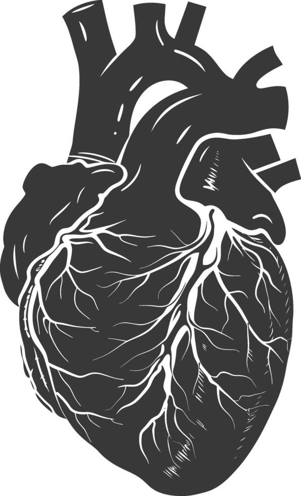 AI generated Silhouette for internal organs of heart black color only vector