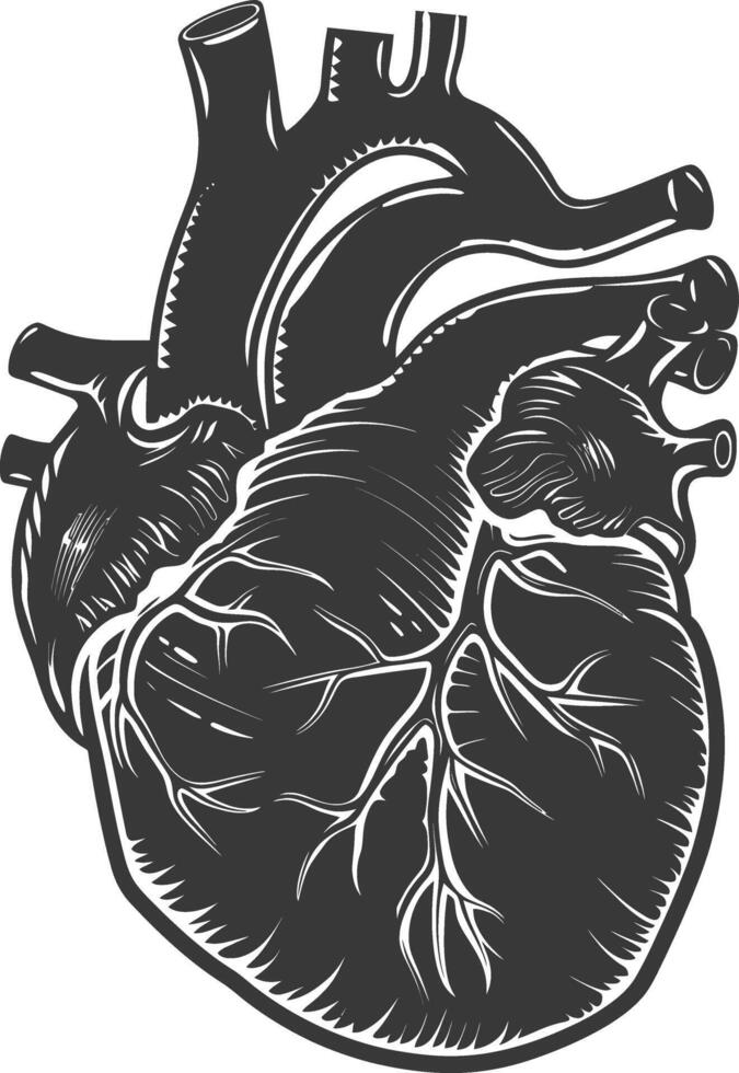 AI generated Silhouette for internal organs of heart black color only vector