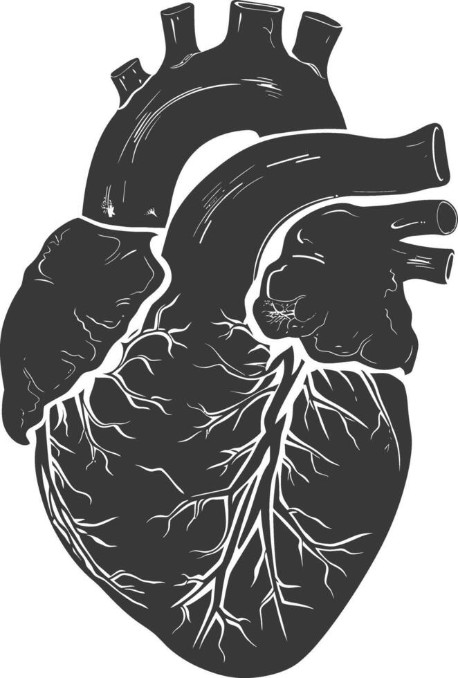 AI generated Silhouette for internal organs of heart black color only vector