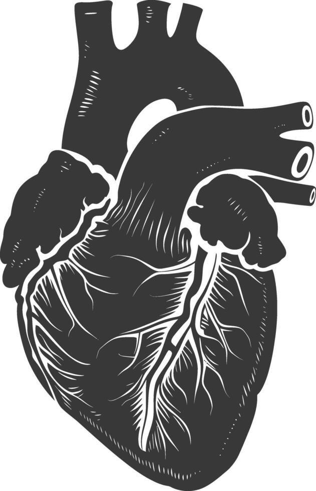 AI generated Silhouette for internal organs of heart black color only vector