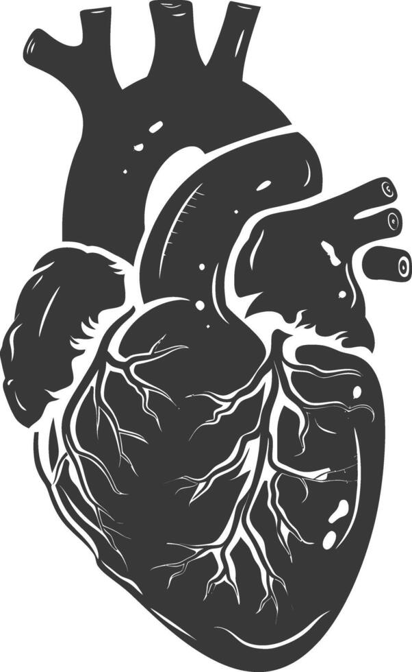 AI generated Silhouette for internal organs of heart black color only vector