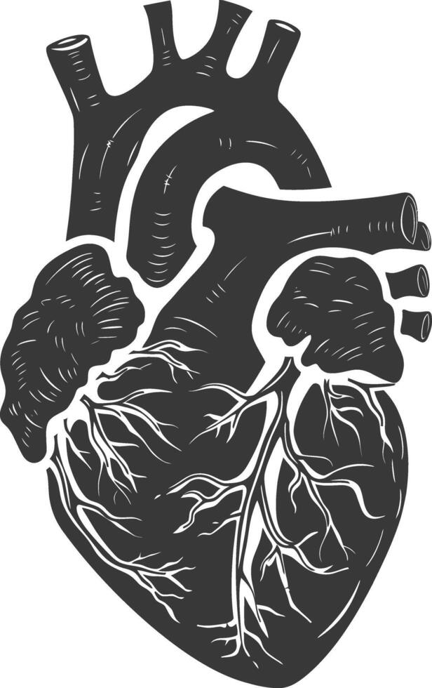 AI generated Silhouette for internal organs of heart black color only vector