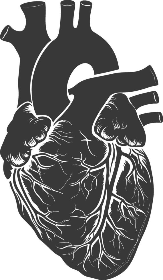 AI generated Silhouette for internal organs of heart black color only vector