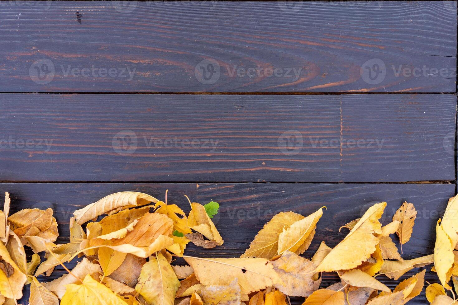 Autumn leaves frame on black background top view Fall Border yellow and Orange Leaves vintage structure table Copy space for text. photo