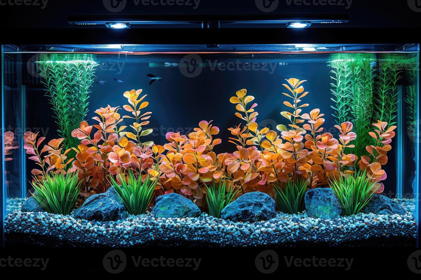 AI generated fish tank aquarium at home inspiration ideas professional photography photo