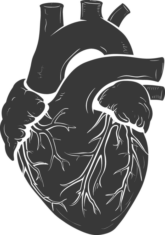 AI generated Silhouette for internal organs of heart black color only vector