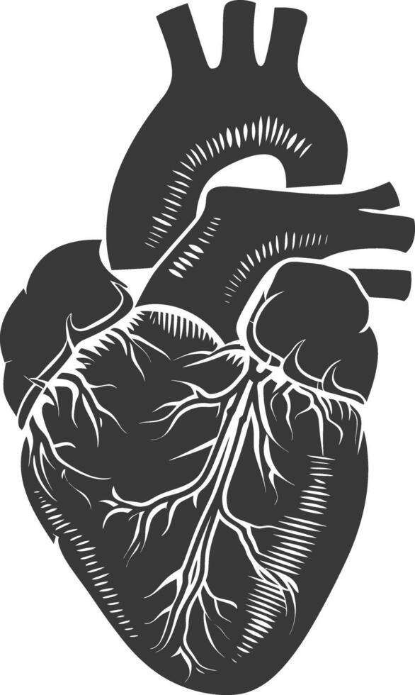 AI generated Silhouette for internal organs of heart black color only vector