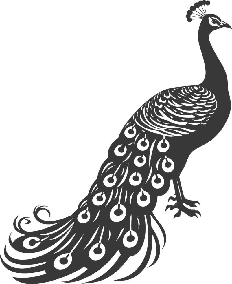 AI generated Silhouette Peafowl Birds Animal raise feather tail black color only vector
