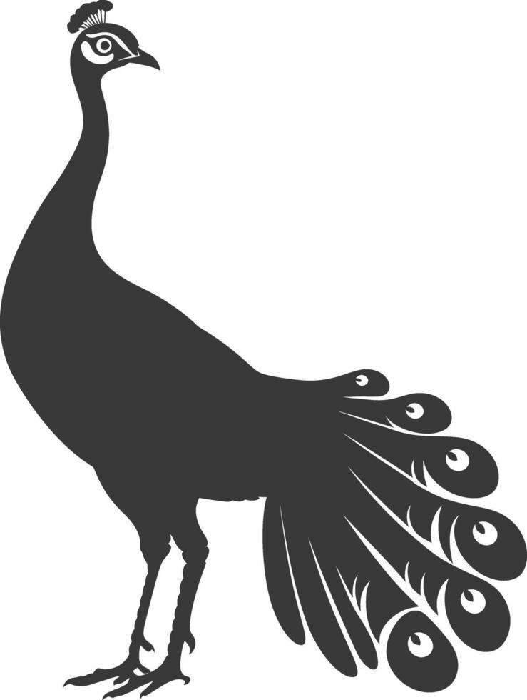 AI generated Silhouette Peafowl Birds Animal black color only vector