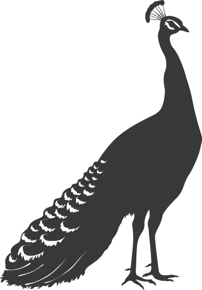 AI generated Silhouette Peafowl Birds Animal black color only vector