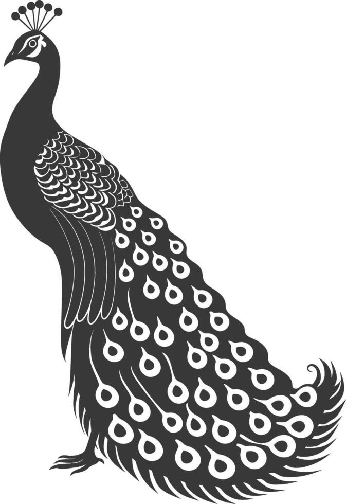 AI generated Silhouette Peafowl Birds Animal black color only vector