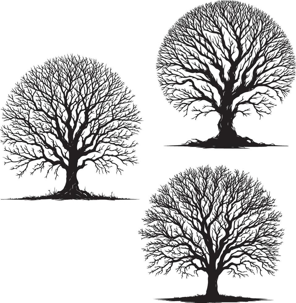 tree silhouette vector artwork