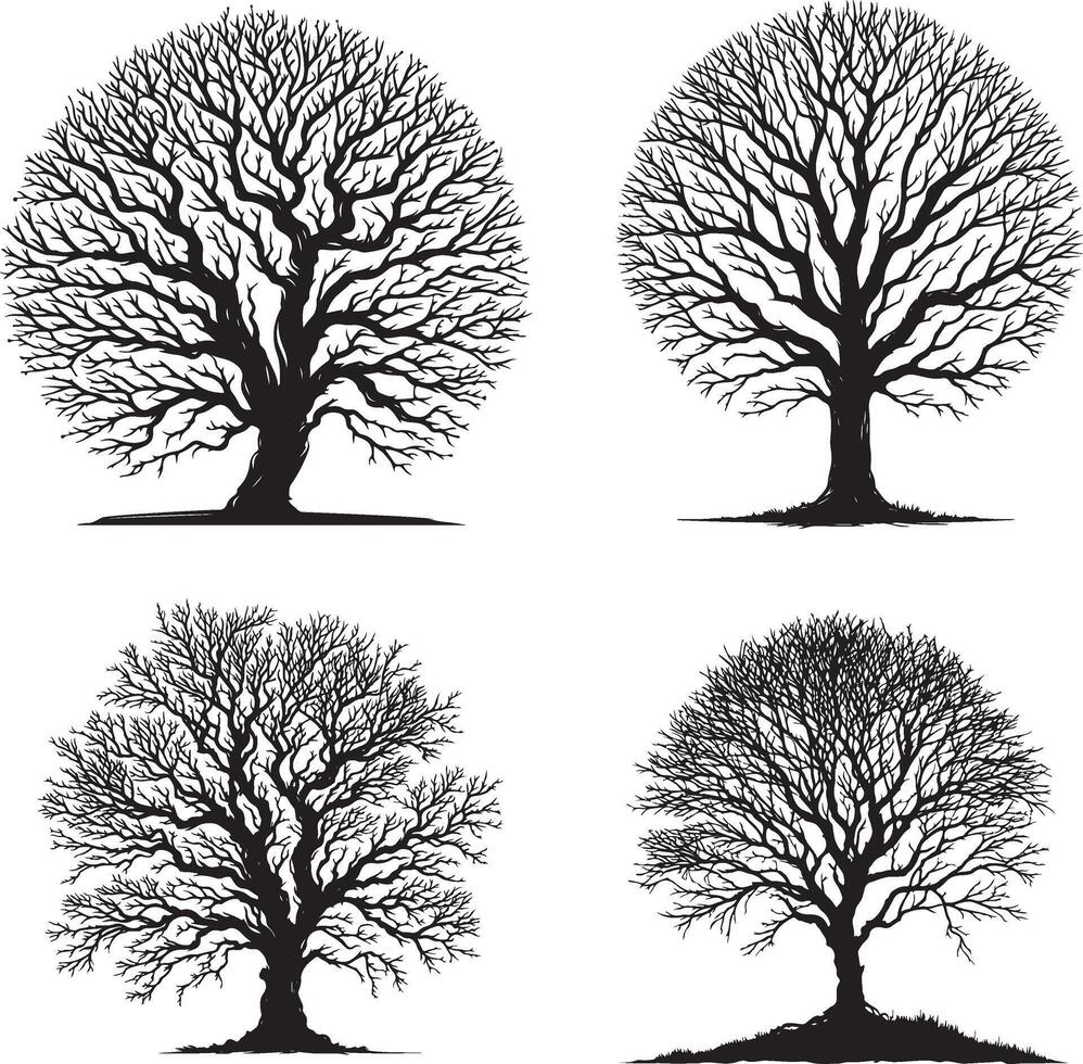 tree silhouette vector artwork