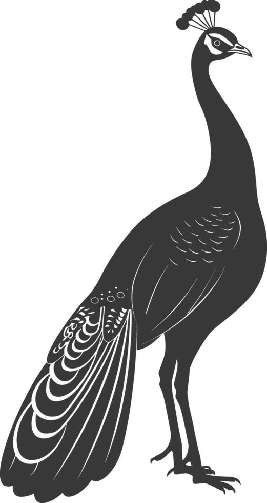 AI generated Silhouette Peafowl Birds Animal black color only vector