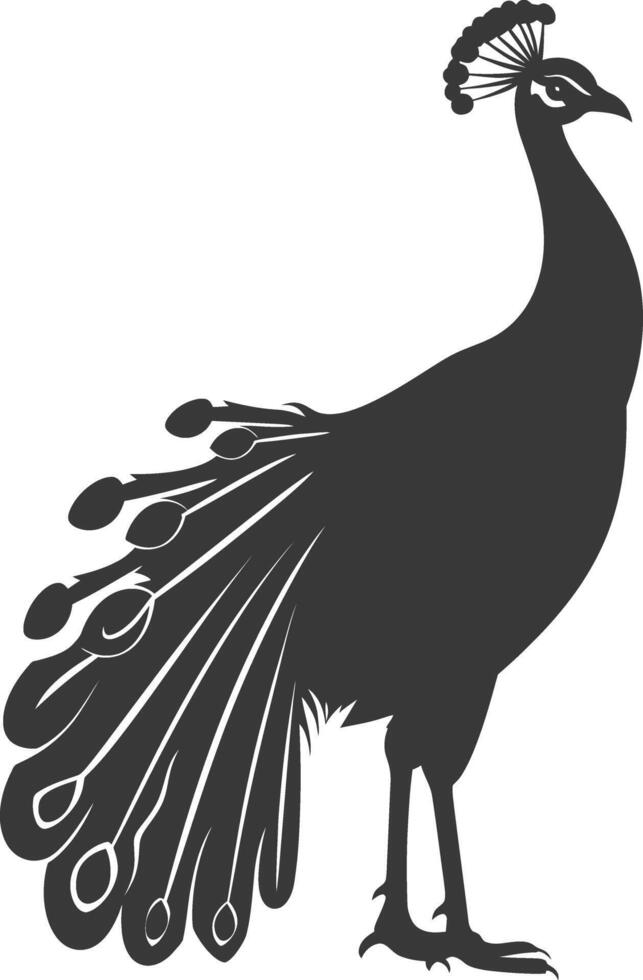 AI generated Silhouette Peafowl Birds Animal black color only vector