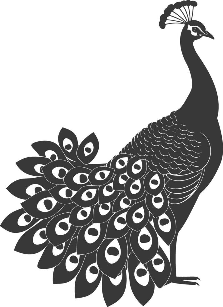 ai generado silueta pavo real aves animal aumento pluma cola negro color solamente vector