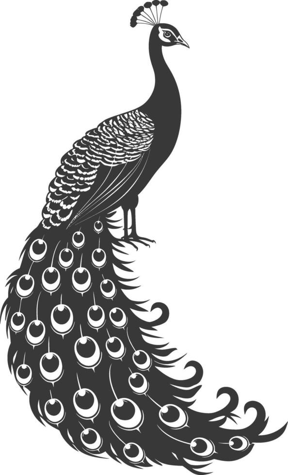 AI generated Silhouette Peafowl Birds Animal black color only vector