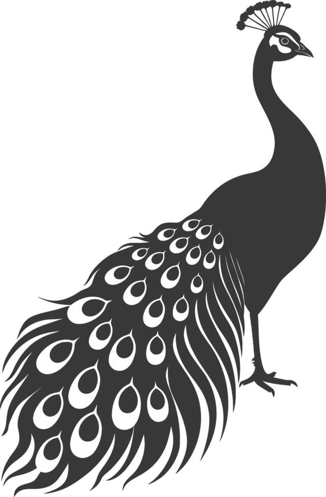 ai generado silueta pavo real aves animal aumento pluma cola negro color solamente vector