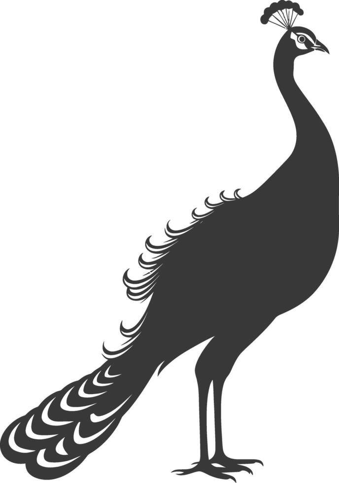 AI generated Silhouette Peafowl Birds Animal black color only vector
