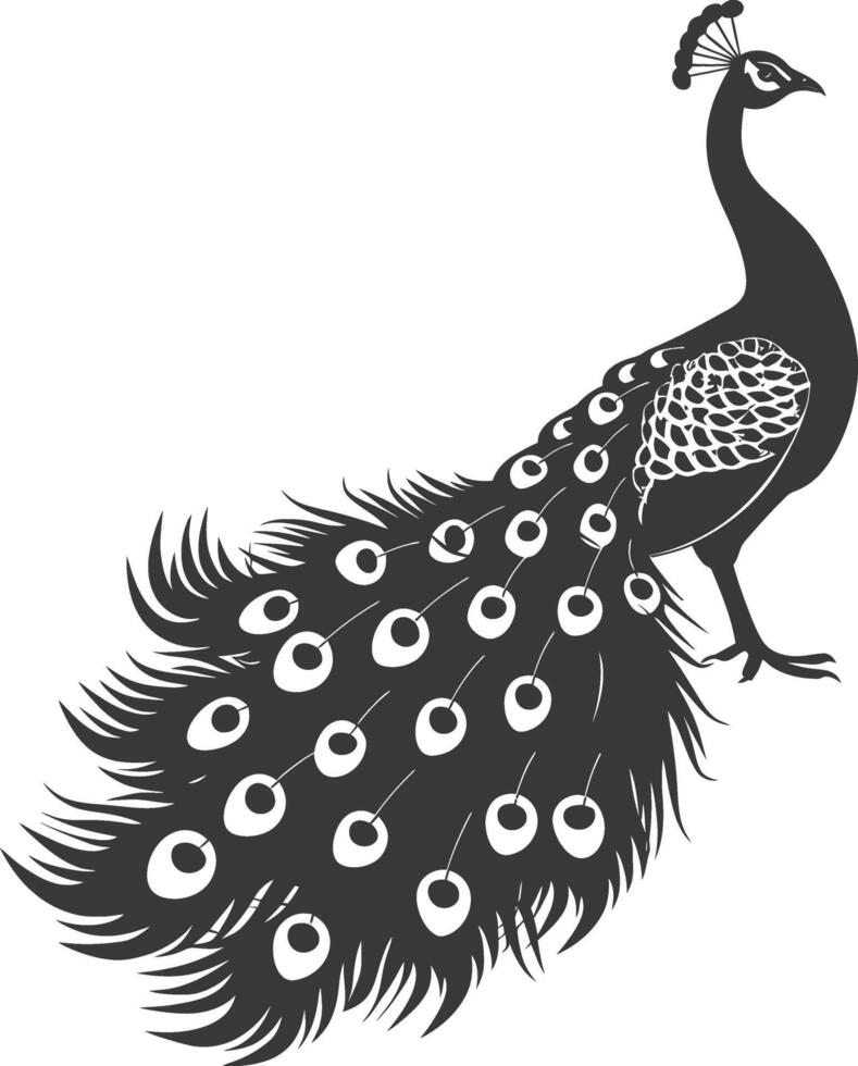 AI generated Silhouette Peafowl Birds Animal raise feather tail black color only vector