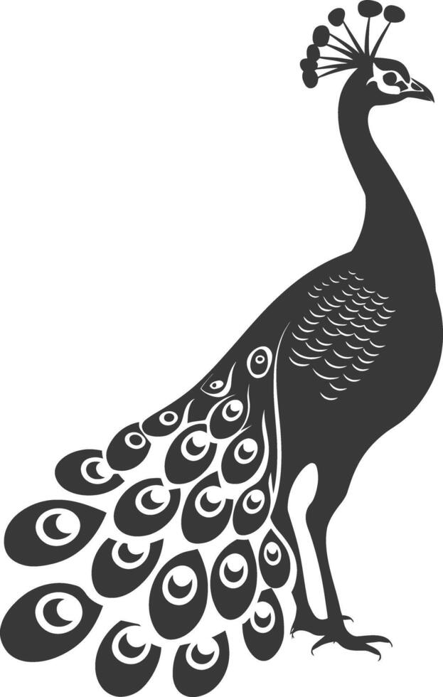 AI generated Silhouette Peafowl Birds Animal raise feather tail black color only vector