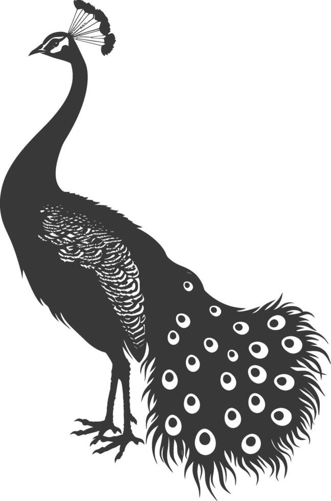 ai generado silueta pavo real aves animal aumento pluma cola negro color solamente vector