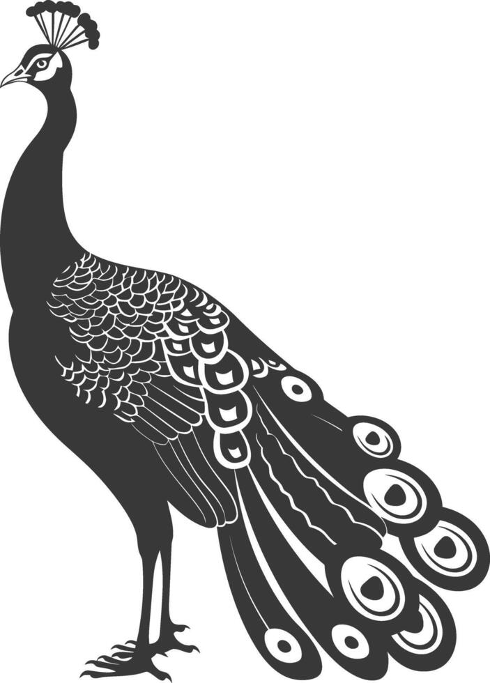 ai generado silueta pavo real aves animal negro color solamente vector