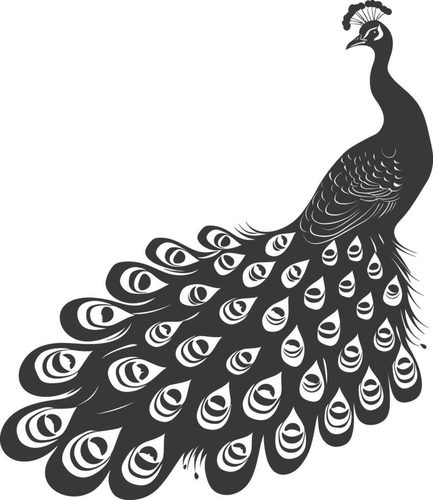 AI generated Silhouette Peafowl Birds Animal raise feather tail black color only vector