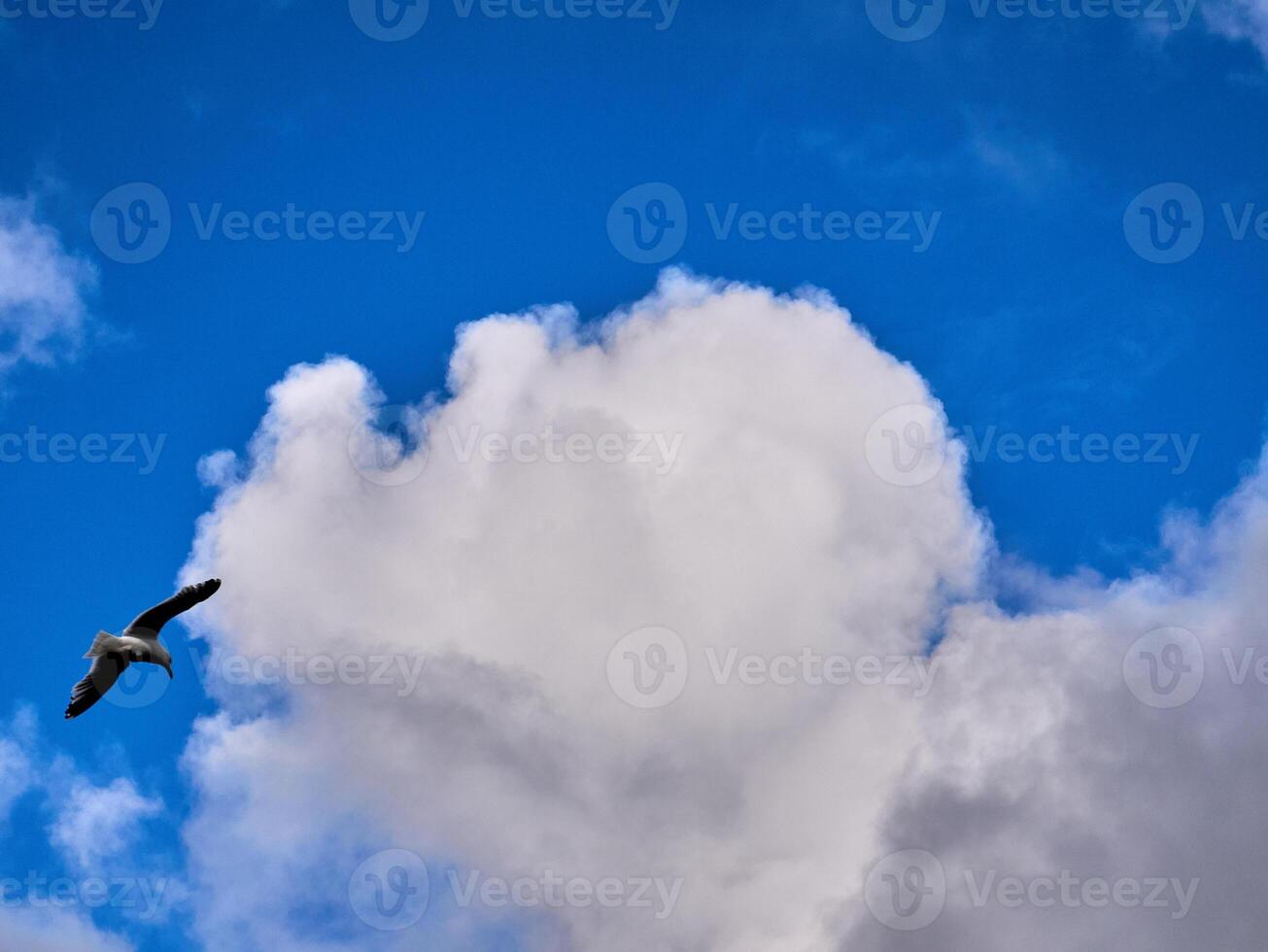 White fluffy clouds in the deep blue sky. Heaven background photo