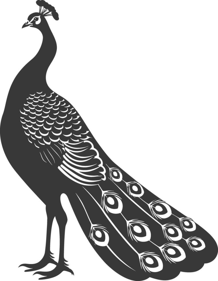 AI generated Silhouette Peafowl Birds Animal black color only vector