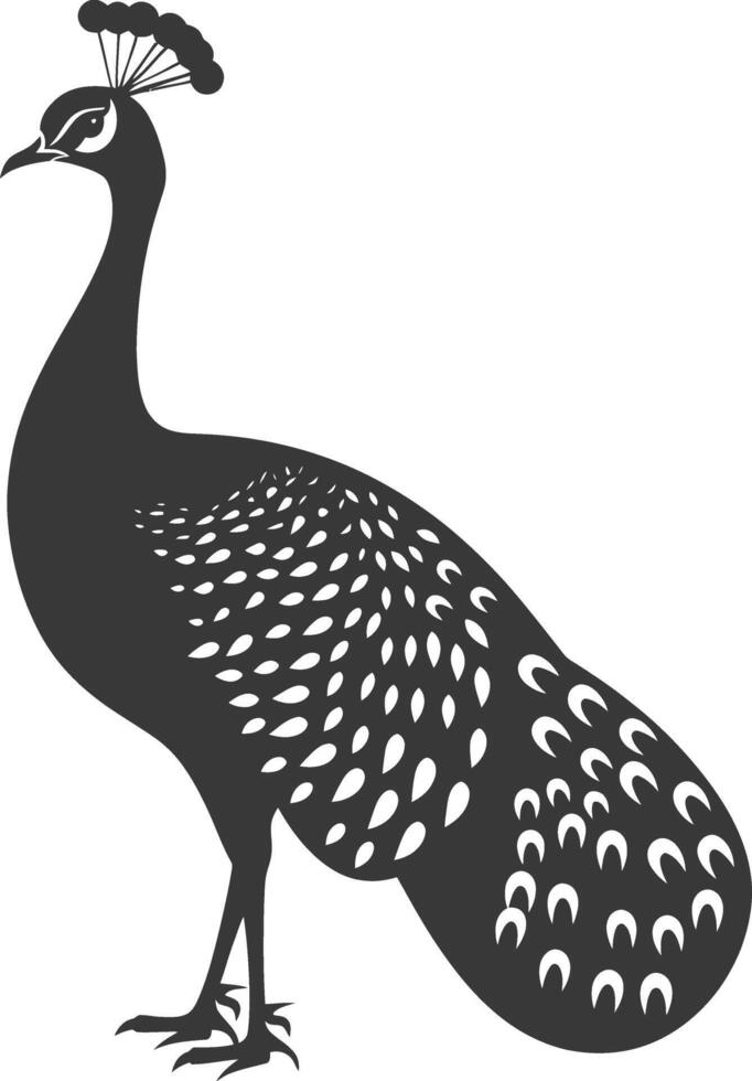 ai generado silueta pavo real aves animal negro color solamente vector