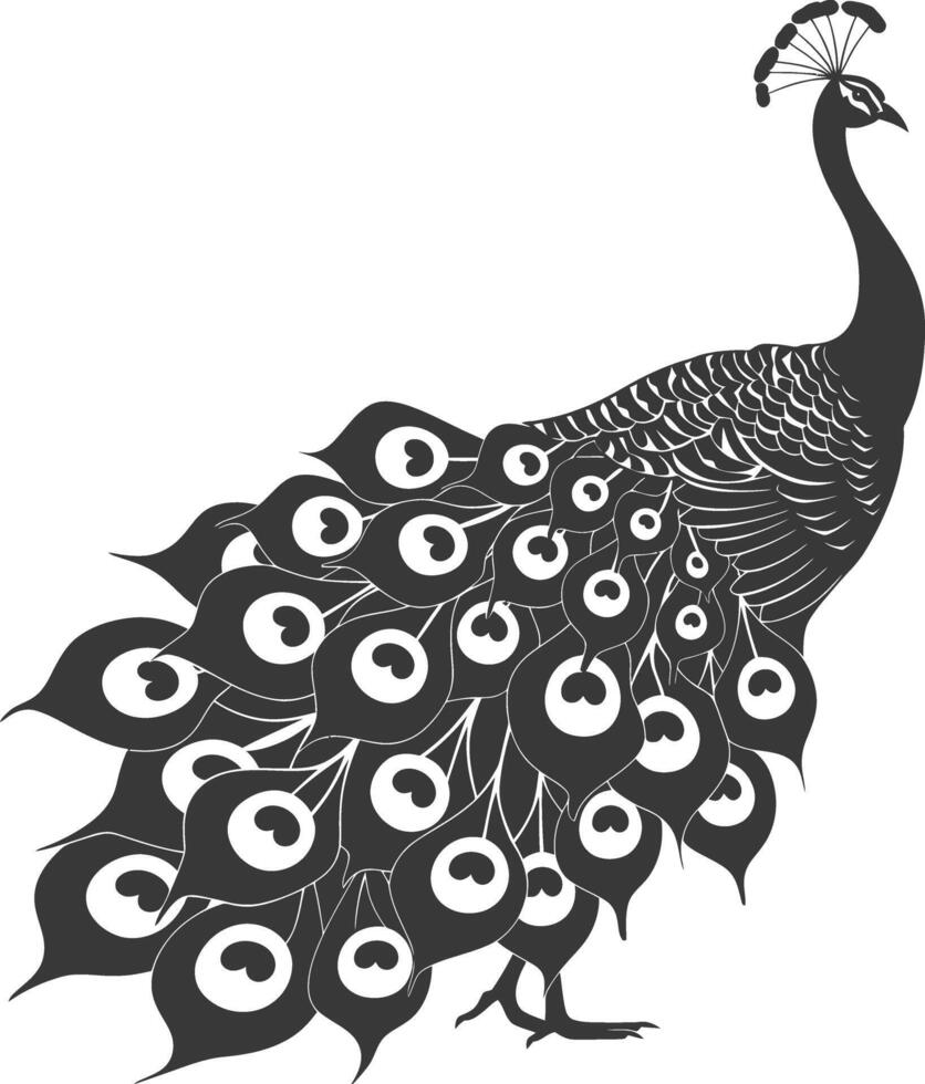 ai generado silueta pavo real aves animal aumento pluma cola negro color solamente vector