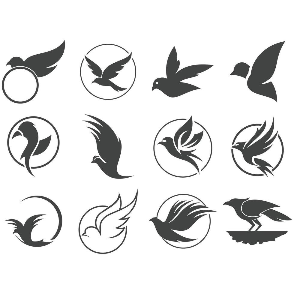 Collection of bird logos vector