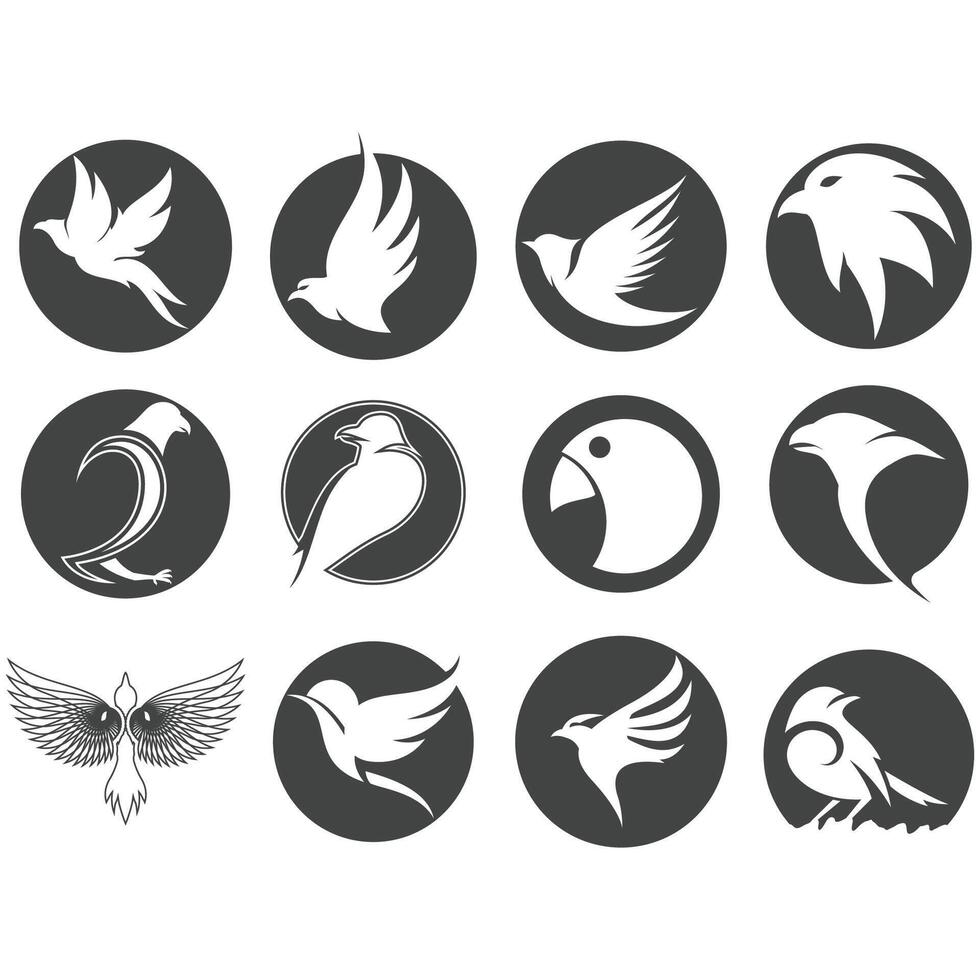 Collection of bird logos vector