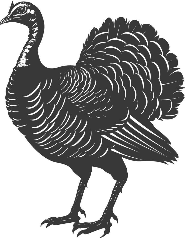 AI generated Silhouette Turkey Animal black color only full body vector