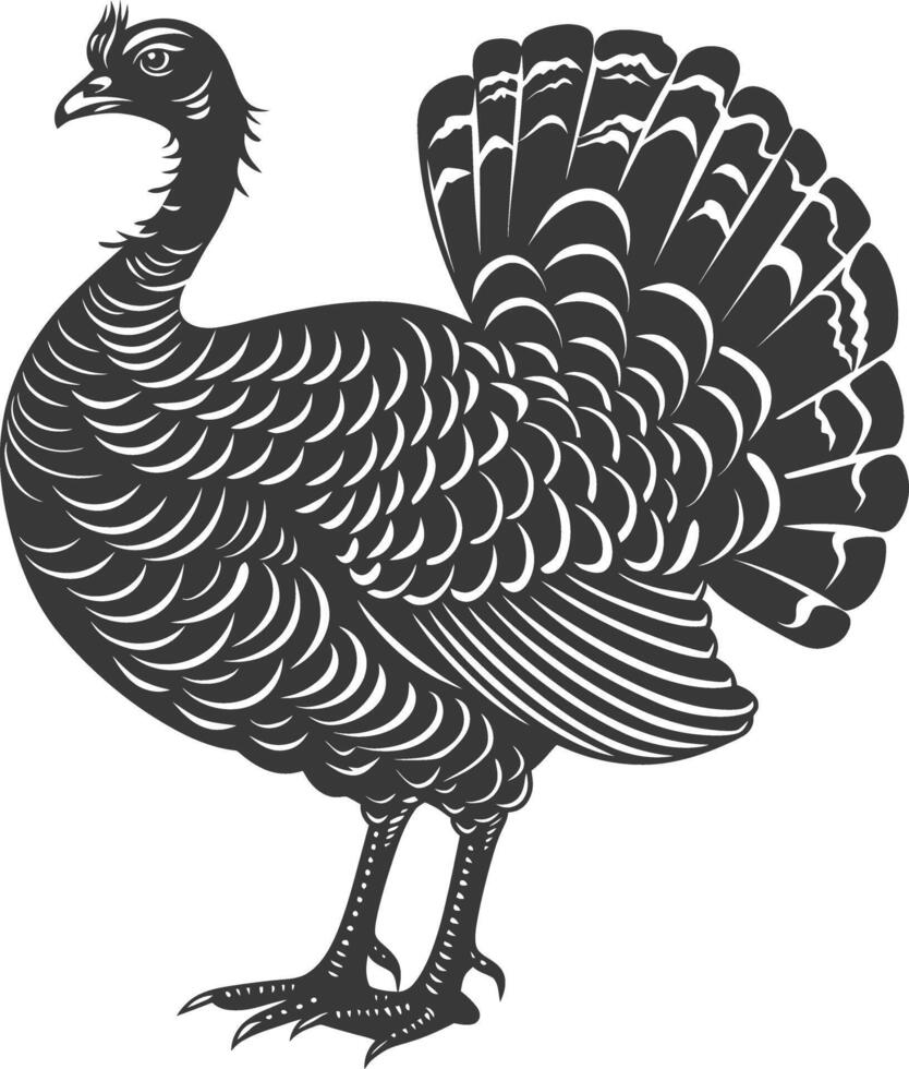 AI generated Silhouette Turkey Animal black color only full body vector