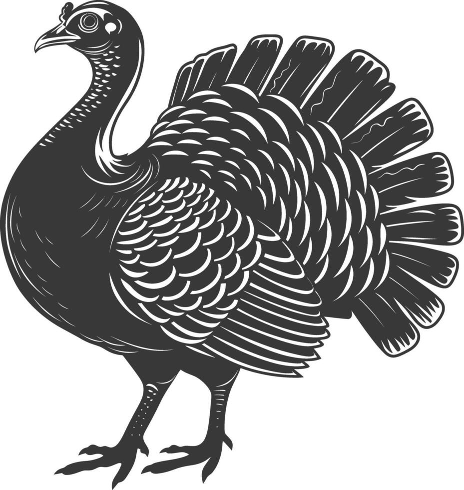 AI generated Silhouette Turkey Animal black color only full body vector