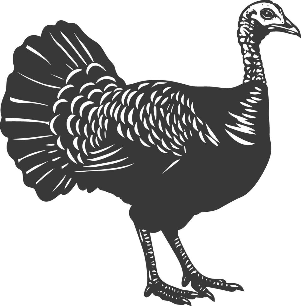 AI generated Silhouette Turkey Animal black color only full body vector