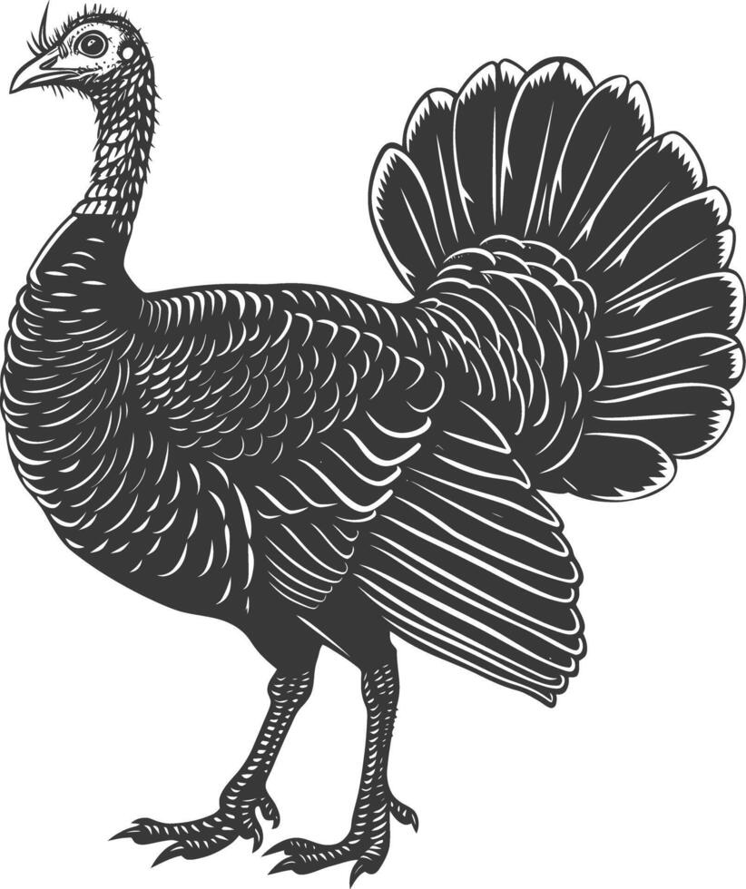 AI generated Silhouette Turkey Animal black color only full body vector