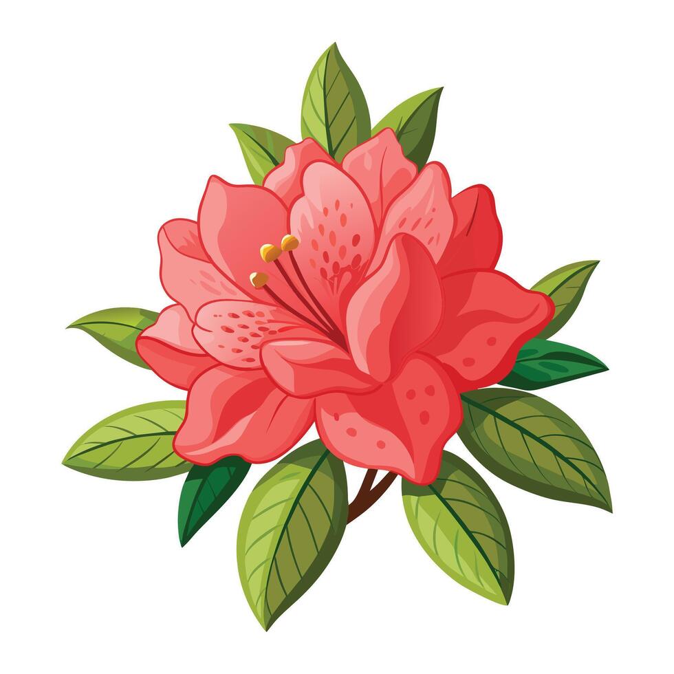 Azalea Flower Illustration on White Background vector