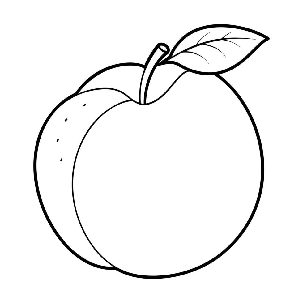 Nectarine Coloring Pages for Kids. vector