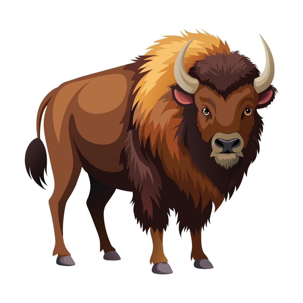 Bison illustration on White Background vector
