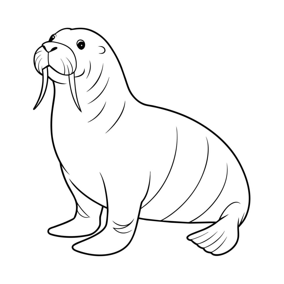 Walrus Illustration Coloring Page for Kids. vector