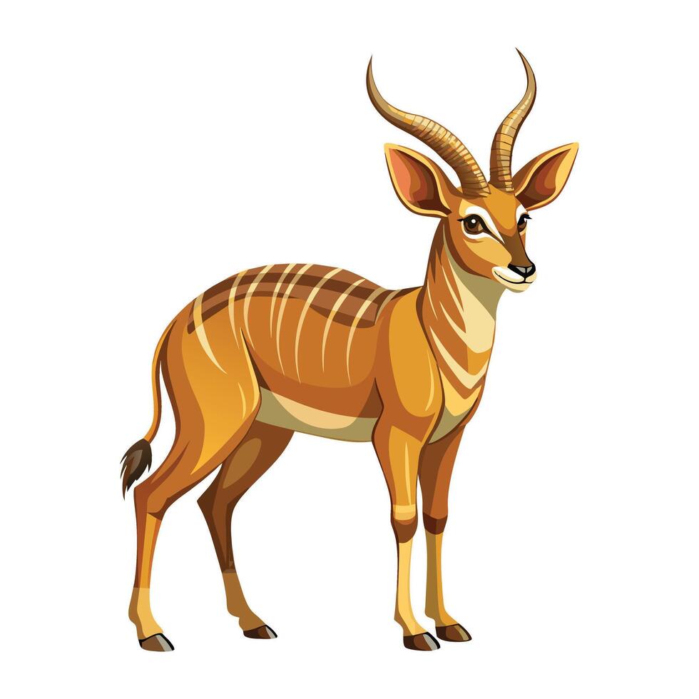 Antelope  illustration on White Background vector