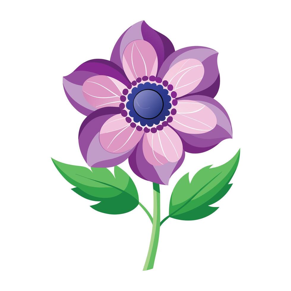 Anemone Flower Illustration on White Background vector