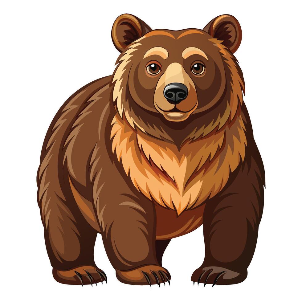 Bear illustration on White Background vector